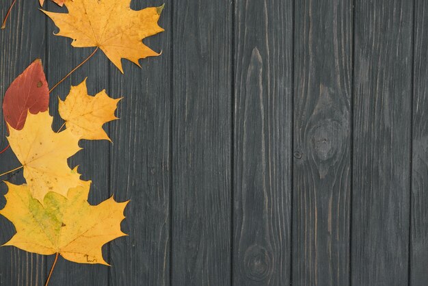 Autumn leaves on the background a dark old wood