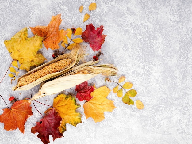 Photo autumn leaves background, flat lay autumn composition with copy space.