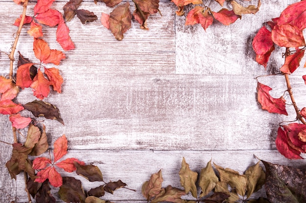 Autumn leaves background with copy space available. Red colored leaves on white wooden background