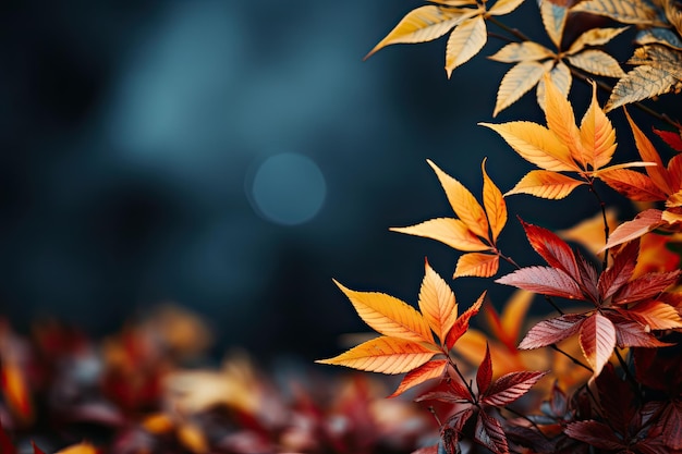 Autumn leaves background with a variety of foliage in warm tones