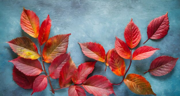 Photo autumn leaves background