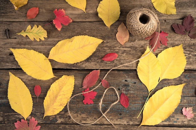 Autumn leaves and a ball of thread.