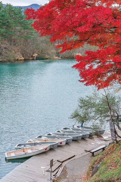 Autumn Leaves bij Goshikinuma (Five Volcanic Lakes of Five Coloured Lakes), een populaire bestemming in Bandai Highlands in de herfst in de prefectuur Fukushima, Japan