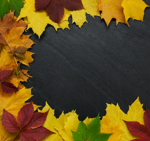 Autumn leaves on blackboard