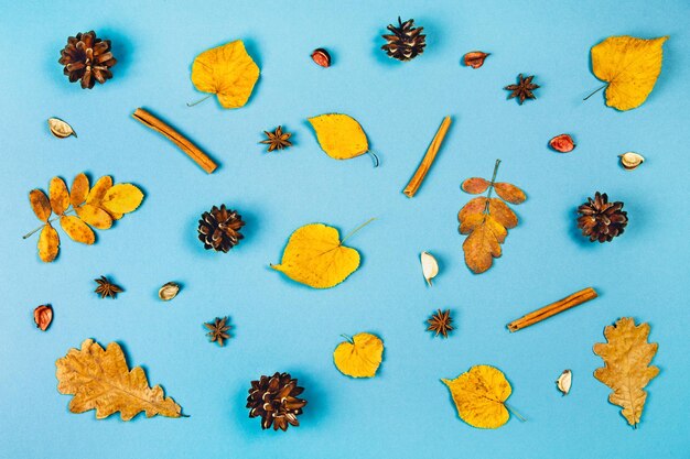 Autumn leaves on a blue background greeting card