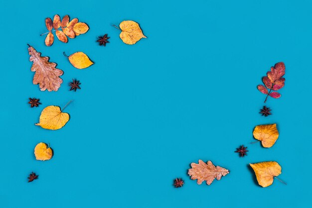 Autumn leaves on a blue background greeting card