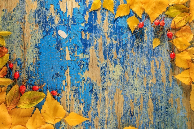 Autumn leaves on blue wood