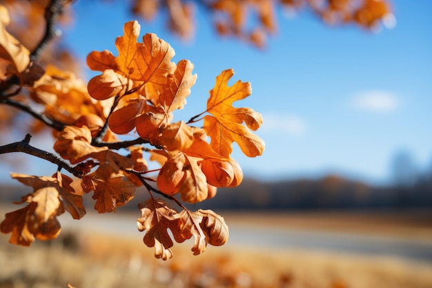 Autumn leaves on a branch Generative AI