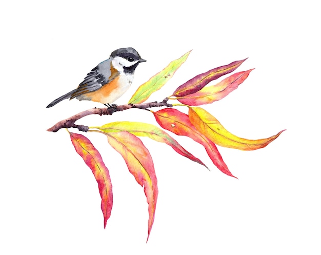 Autumn leaves on branch with bird.