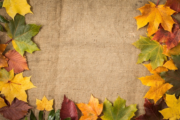 Autumn Leaves over Burlap surface