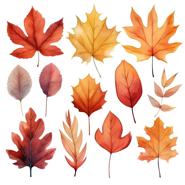 Autumn Leaves Clipart in the style of Watercolor