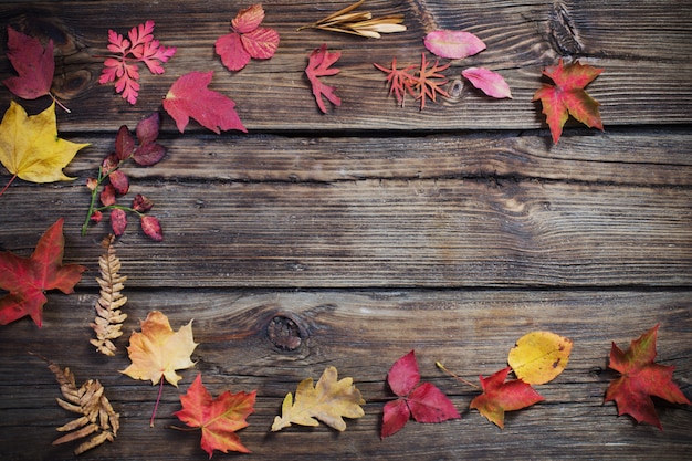 Autumn leaves on darrk old wood