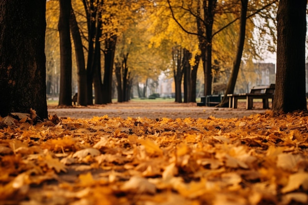 도시 공원 에서 가을 잎 이 땅 에 떨어지는 것