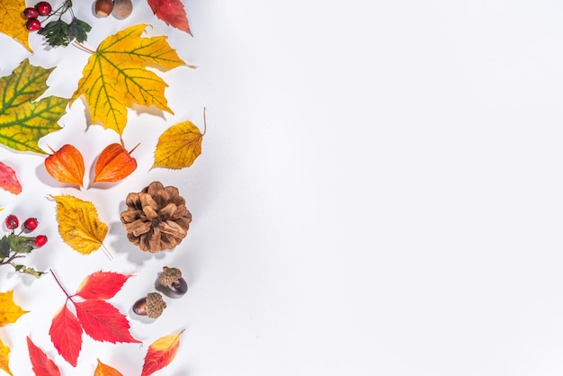 Autumn leaves flat lay