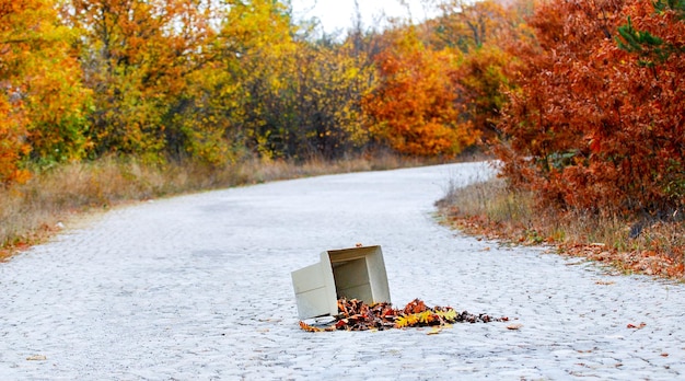 Photo autumn leaves on footpath by road