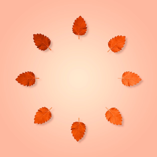 Autumn leaves forming a circle on a pastel background