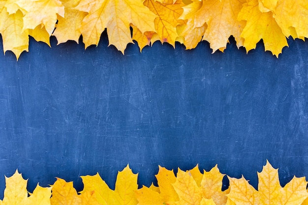 Cornice di foglie d'autunno su sfondo blu vista dall'alto