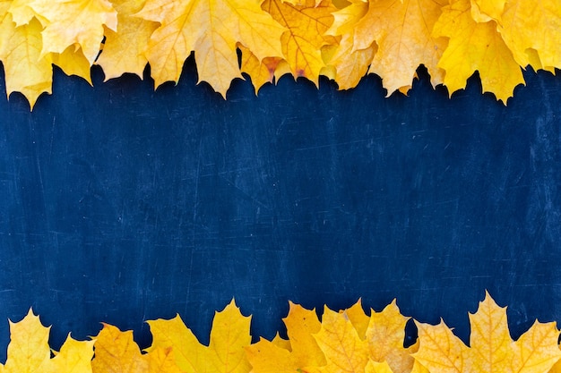 Autumn leaves frame on blue background