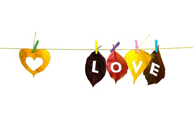 The autumn leaves hanging on a rope closeup and create the inscription I love on white background