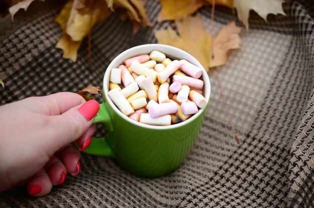 Autumn leaves and hot steaming cup of coffee lies on checkered plaid outdoors