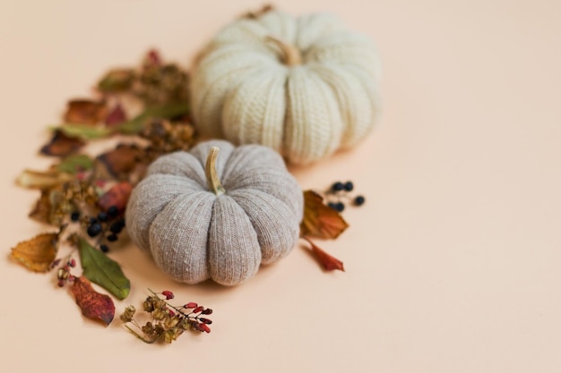 Autumn leaves and knit handmade pumpkin