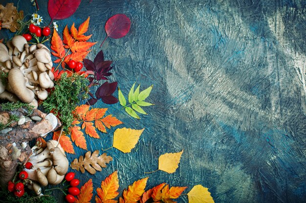 Photo autumn leaves, mushrooms and berries on a dark background