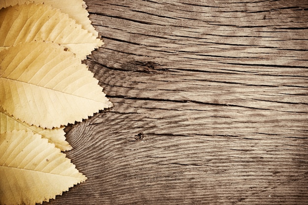 Foto foglie di autunno sulla vecchia struttura di legno