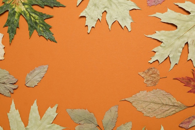 Autumn leaves on orange background space for text