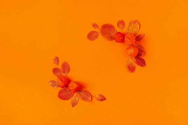 Autumn leaves on an orange table 