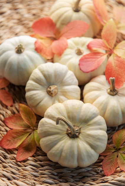 Autumn leaves and pumpkins over wicker mat background