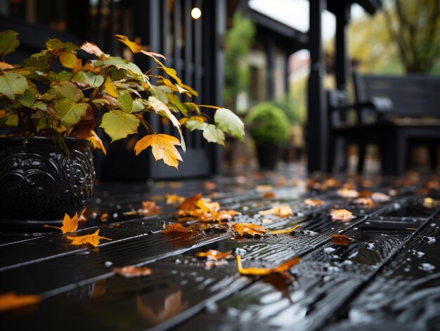 Autumn leaves on a rainy day in the city Selective focus