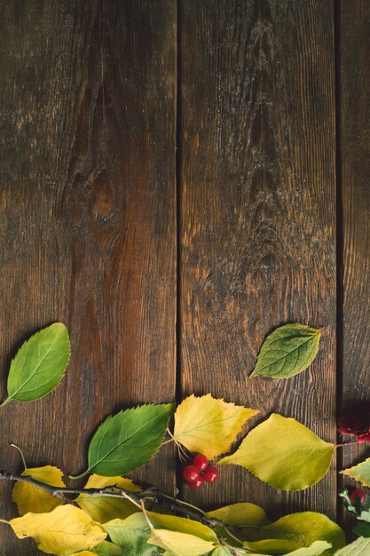 Foto foglie di autunno sulla superficie di legno ruvida. autunno colorato.