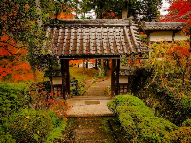 Autumn leaves of ryuonji temple in kyoto