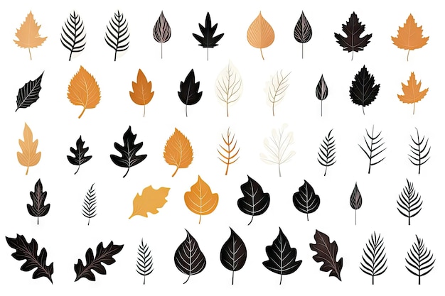 秋の葉のシルエット 葉っぱのシルエットは 孤立した秋の木の葉の形状 メープル・オーク・バーチなど