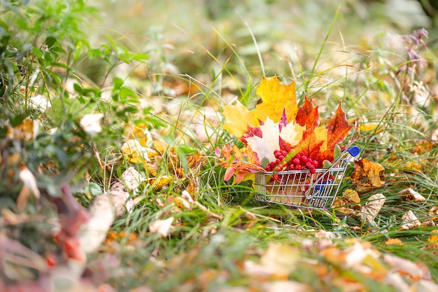 Foglie di autunno in un carrello per supermercati