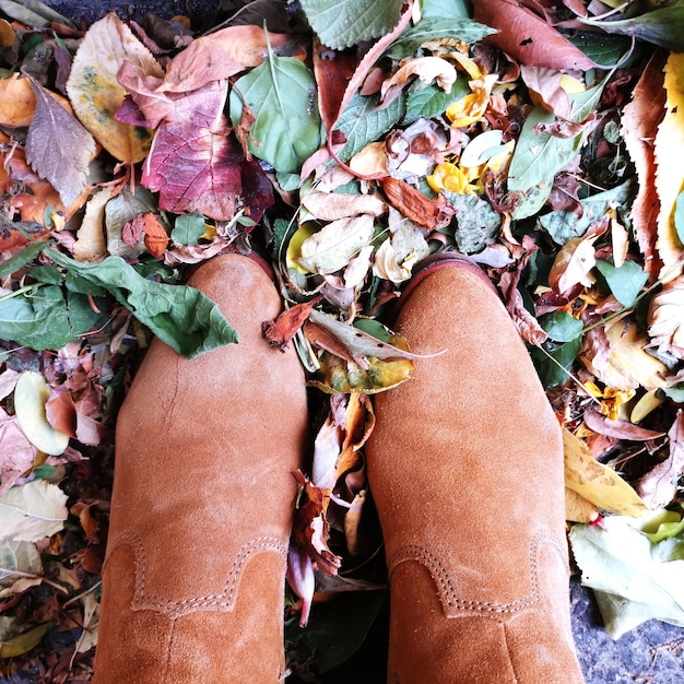 Photo autumn leaves top view shot