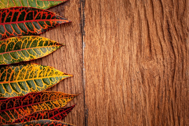 autumn leaves on vintage old wooden background