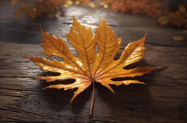 autumn leaves wallpaper