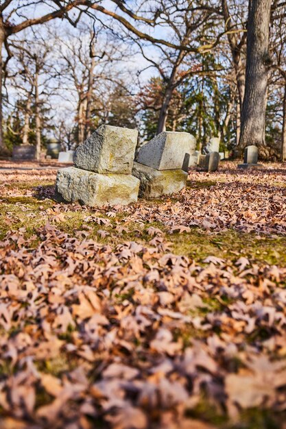 Осенние листья на выветренных надгробных камнях на кладбище Линденвуд