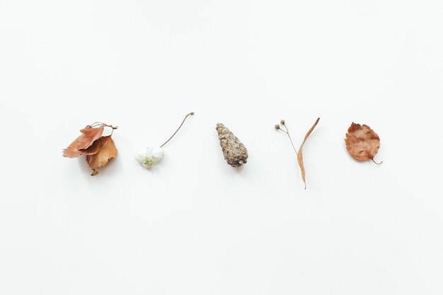 Autumn leaves on white background autumn fall concept flat lay top view copy space