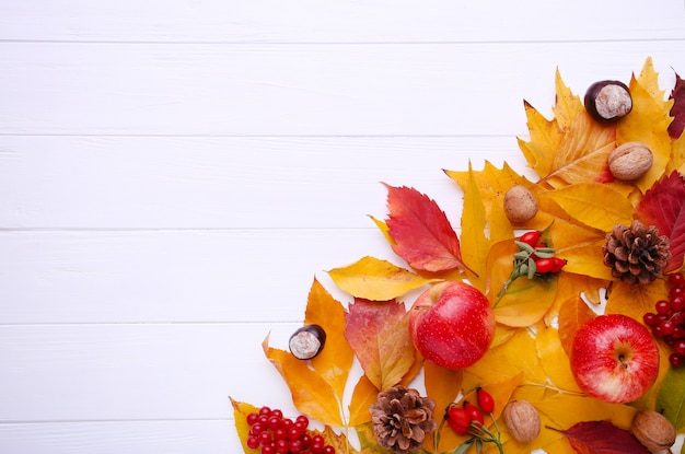 Autumn leaves with berries and fruit on white