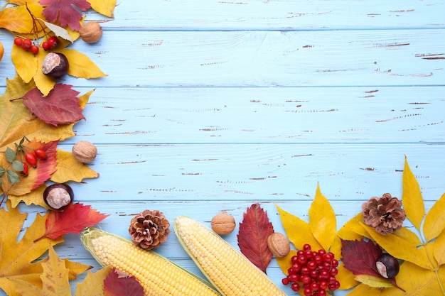 Autumn leaves with berries and vegetables on a blue background