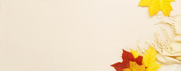 autumn leaves with a scarf on a beige background with copy space banner