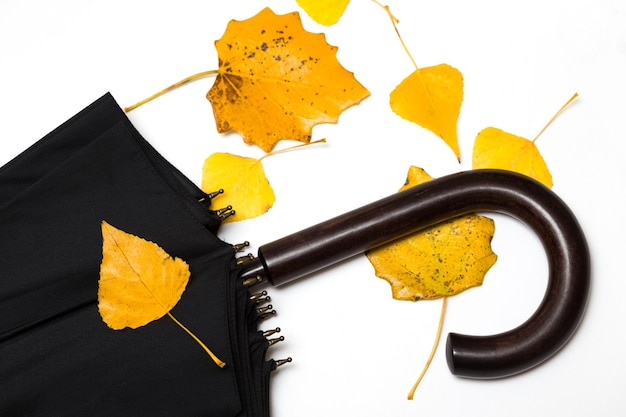 Autumn leaves with umbrella