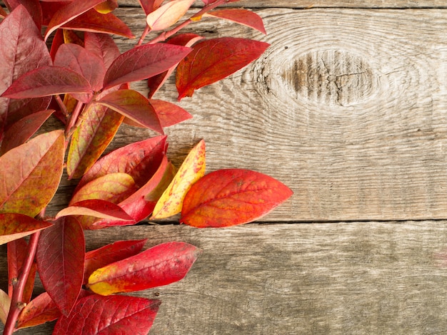 Foto foglie di autunno su fondo in legno