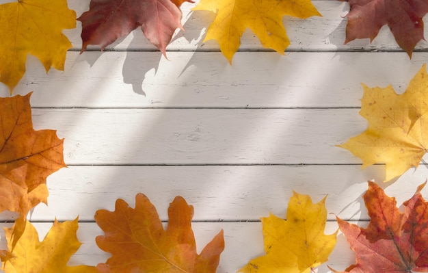 Autumn leaves on a wooden background Seasonal background with empty space