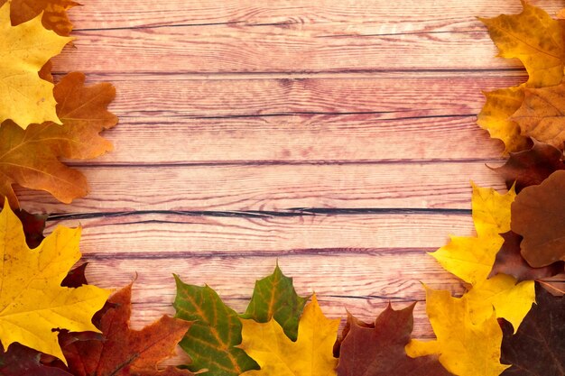 Autumn leaves on a wooden background Seasonal background with empty space