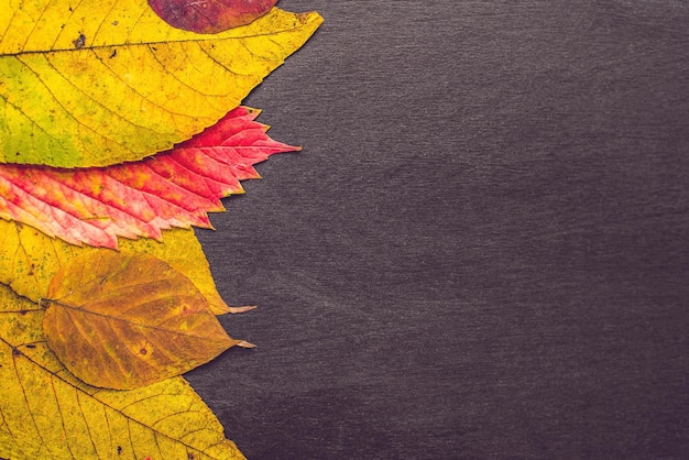 Photo autumn leaves over wooden background with copy space