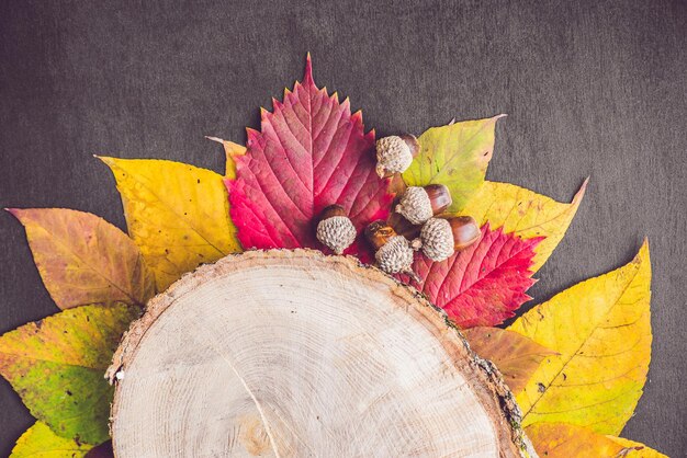 Autumn leaves over wooden background with copy space