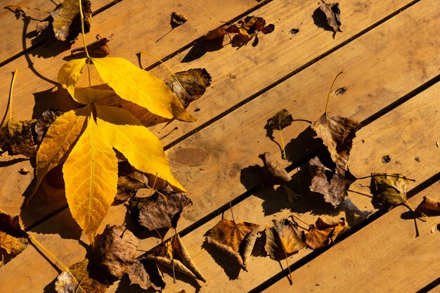 Foglie di autunno su uno sfondo di legno con copia spazio